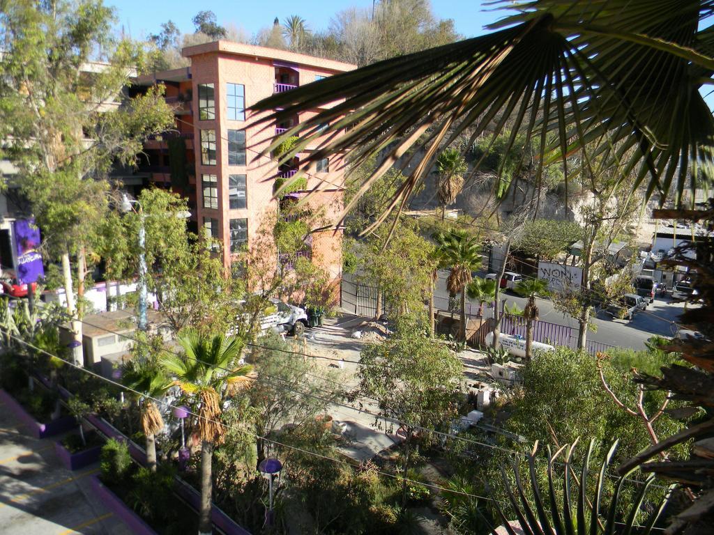 Hotel Grand Guaycura Tijuana Zewnętrze zdjęcie